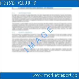 市場と産業調査レポートのイメージ